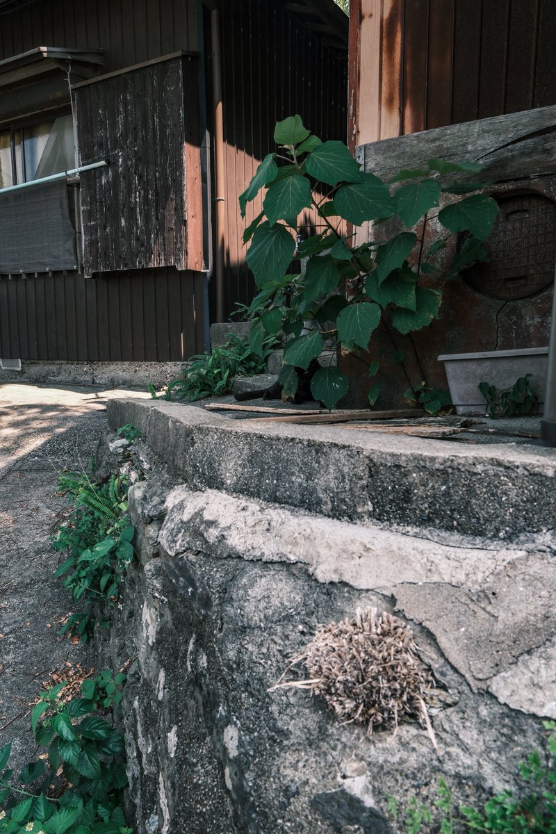 kobateck's tweet photo. おるね https://t.co/J6CICarvEO
