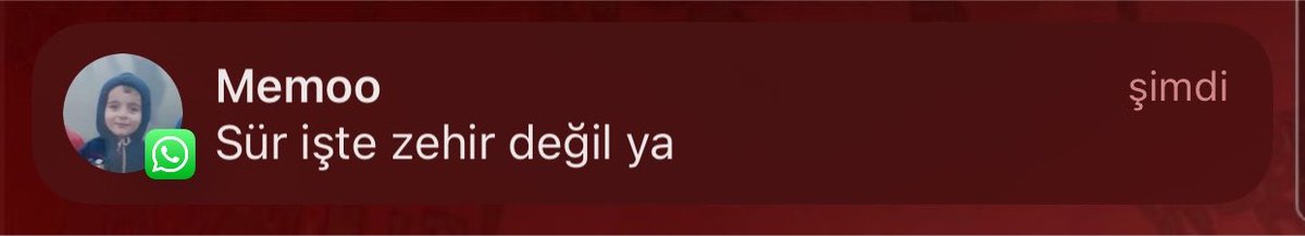 muratytmoglu's tweet photo. o sırada bizim doktor arkadaşın bizi başından savış https://t.co/66A9mELOFA