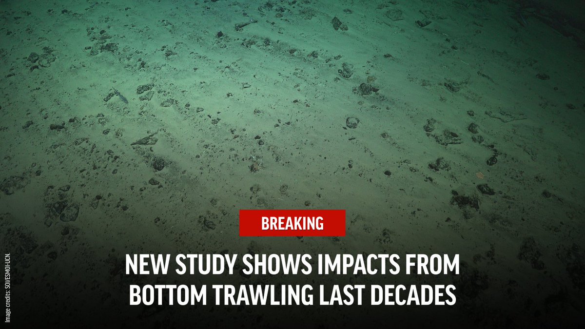 oceana's tweet photo. The scars from bottom trawling last for DECADES. 

A new study found damage to Chilean seamounts is still visible more than 25 years later. Science is clear: the best way to protect them is to prevent the damage in the first place. 

Learn more: https://t.co/YJUaqt172g https://t.co/5Q5o3FYsMH