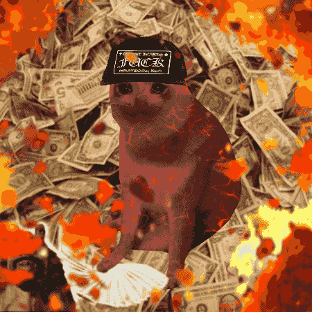 cashcatss's tweet photo. 100 ETH https://t.co/Dvc4GvqHN3