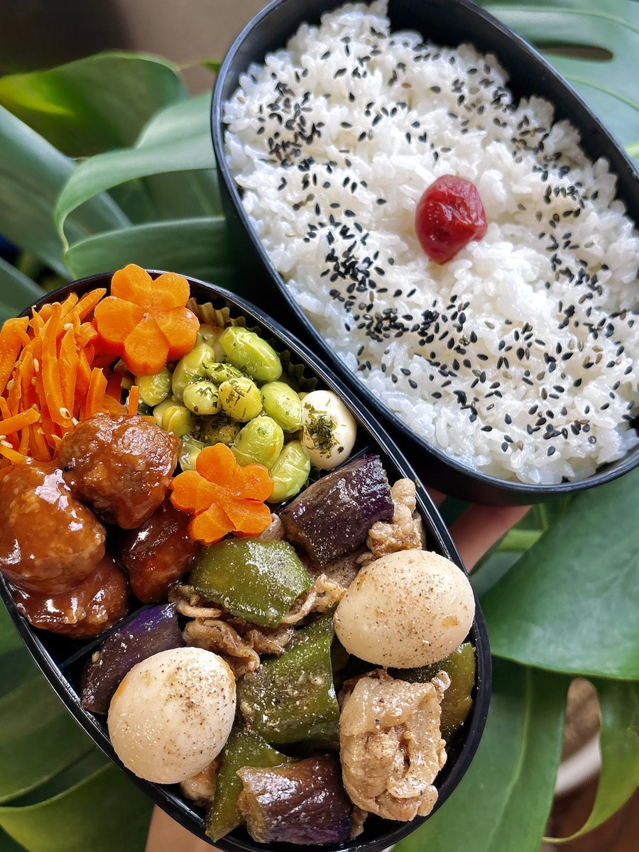 achans18's tweet photo. 今日の旦那に作る #お弁当 👨🏻‍💻
夏野菜と豚肉のおかか炒め弁当🍱

体の余分な熱やこもった湿気を逃がして
胃腸の調子を整える夏野菜🍆🫑

豚肉と合わせると疲労物質が
体にたまるのを防いでくれます🍖

グリーンキウイ付きの🥝
夏のスタミナ弁当です💪🌻

 #お弁当記録 
 #お弁当日記 https://t.co/uNkit8b0Ep
