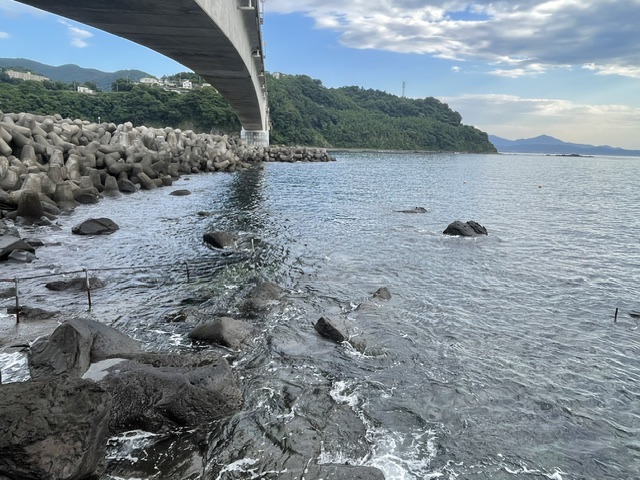 iwadive's tweet photo. 7月30日木曜日

透視度：水面下3ｍ　水中6ｍ～15ｍ(昨日)

水温：24度～26度

風向：南東微風

おはようございます！本日もべたの凪透視度潮の干満でむらがありボトムで6ｍ～15ｍ良い潮が入ると水温が24度まで下がり15ｍの透視度と良い感じ
ビーチボート共に通常オープンです

​ｂｙ哲 https://t.co/eBdxZTtrng