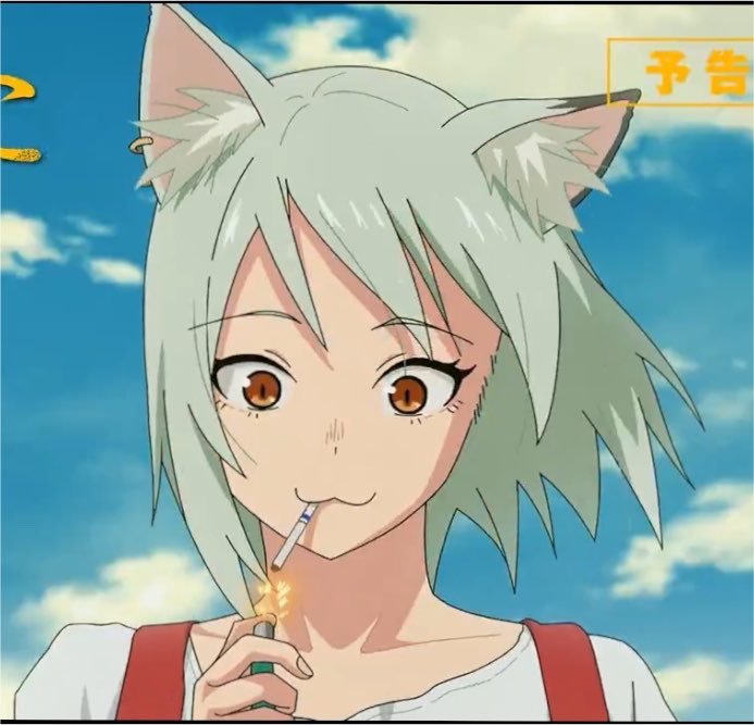 82catnya's tweet photo. おはねこー　だにゃ https://t.co/fxcGyOBkCr