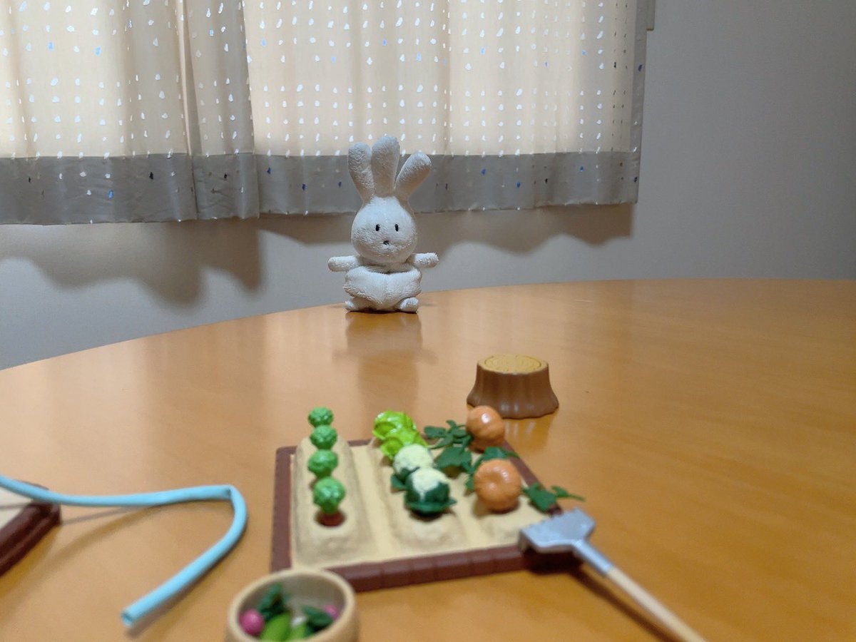 うさぎです Post by しろかった on X: うさぎ〜