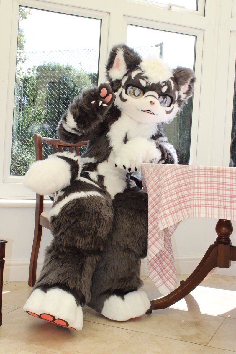 OhDearOhZero's tweet photo. Happy World Tiger Day! 🐯

📸: @blazingsprings 
🪡: @MofuMofuFursuit

#mofumofu手作 https://t.co/3lkuIPmOjh