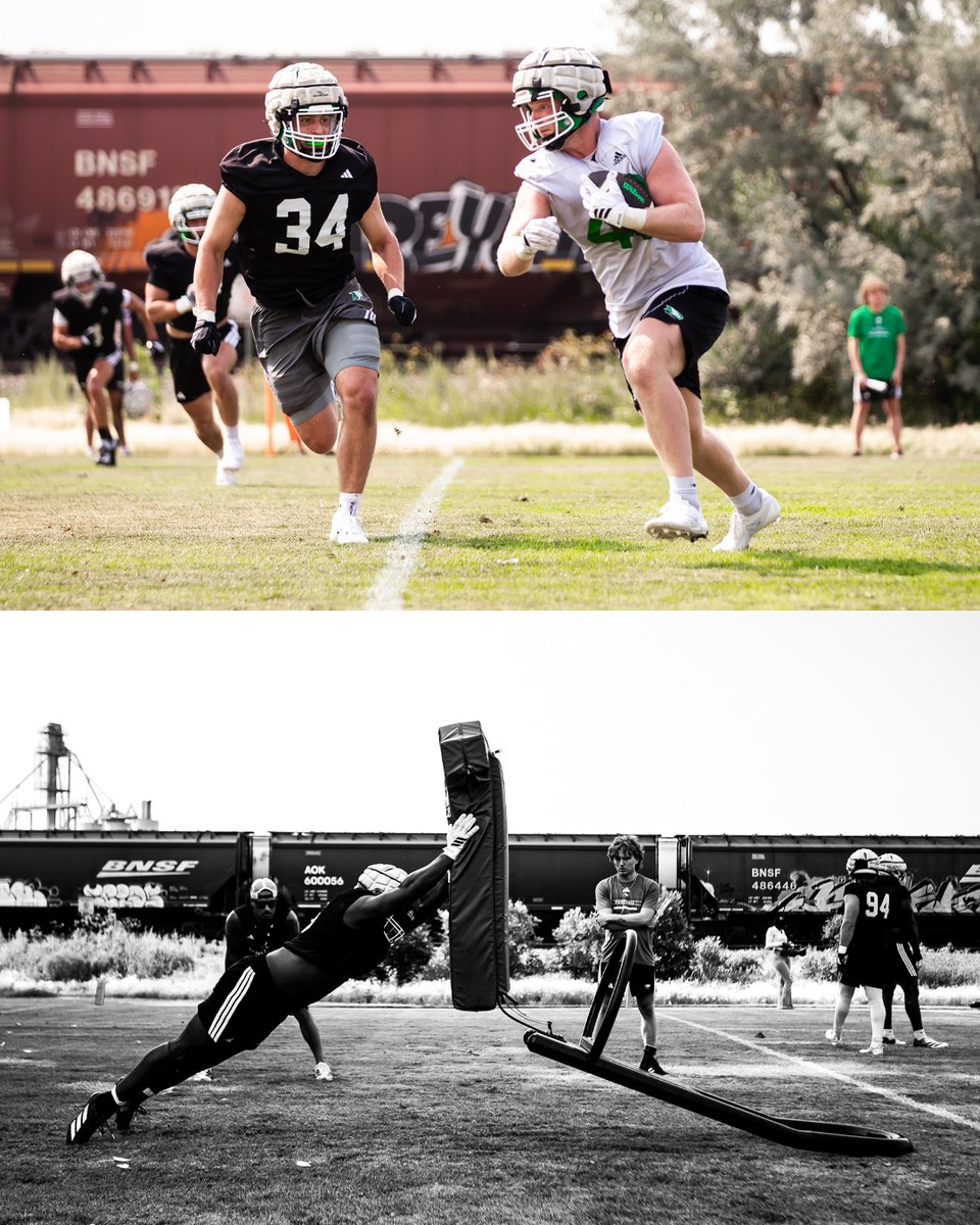 UNDfootball's tweet photo. Great to be back‼️ 

#UNDproud | #LGH https://t.co/2XIrfbeK0d