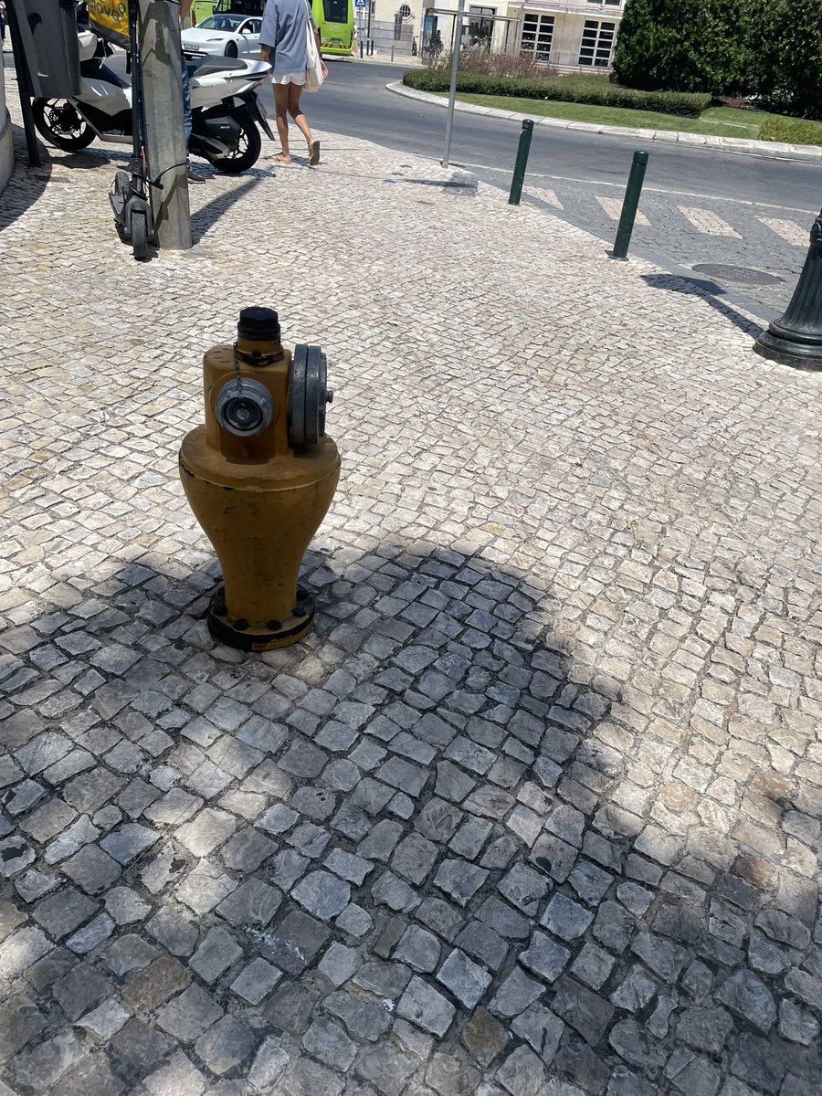 ssubwooferr's tweet photo. papoi lookin ass fire hydrant https://t.co/n1j21umTNc