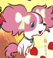 CritterDay's tweet photo. Today's Cute Critter of the Day is Candy from Little Charo!! https://t.co/aHXBwcvwNR