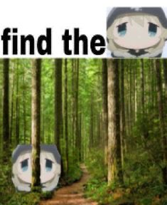 Not_Fritz_'s tweet photo. Can you find it? https://t.co/dgqoMqmyIw