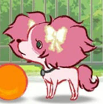 CritterDay's tweet photo. Today's Cute Critter of the Day is Candy from Little Charo!! https://t.co/aHXBwcvwNR
