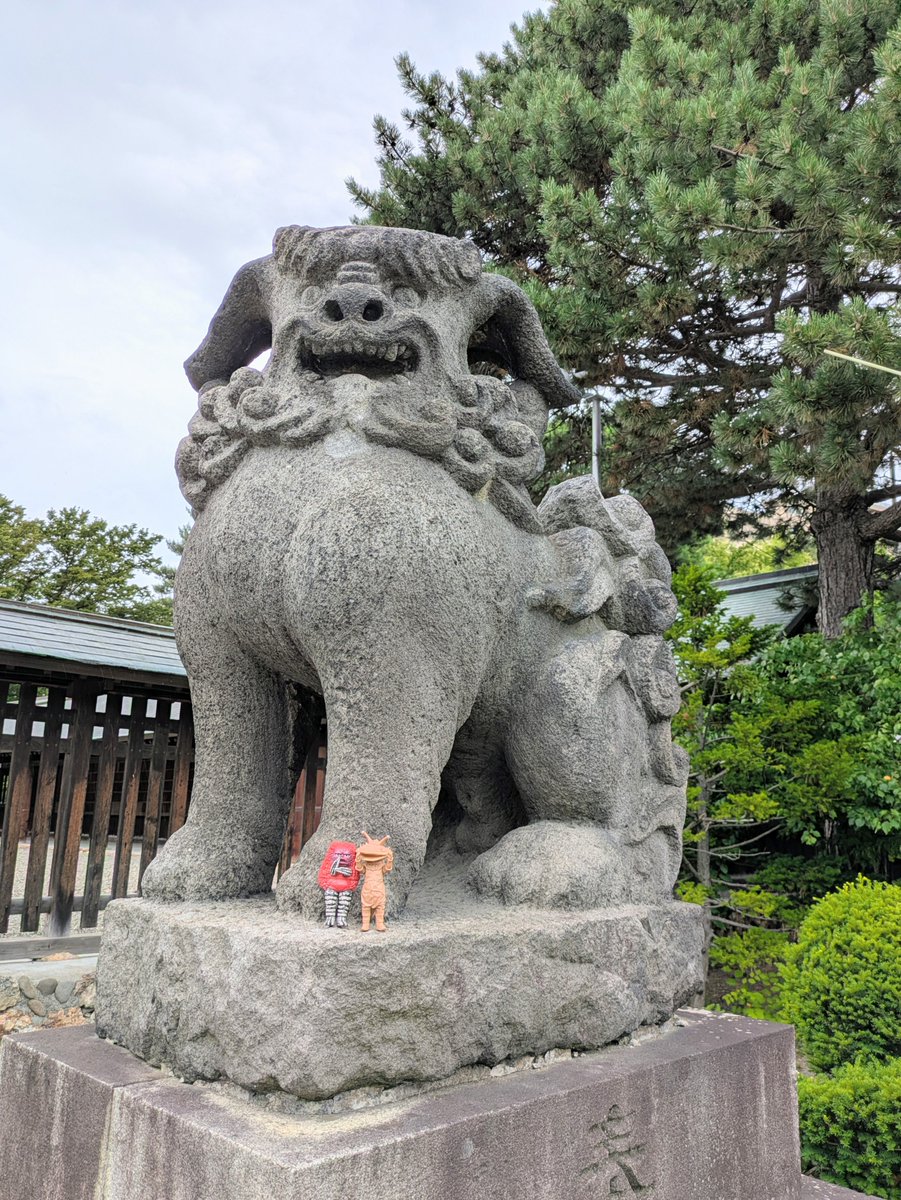 2tmM6XPR2YizI8W's tweet photo. ⁡札幌護國神社⁡
⁡北海道札幌市中央区南１５条
⁡昭和元年⁡
⁡阿吽に案件付き⁡
⁡阿吽両方に案件付きだが⁡
⁡護国型とは思えない独特なデザイン⁡
⁡耳が長く、先が鬣に付いてる⁡
⁡パッと見た時、ピエロかと思った🤡w⁡
⁡鬣、尻尾のくるくるの巻き毛が⁡
⁡豪華で美しい⁡⁡ https://t.co/ZS8NFaeBwX