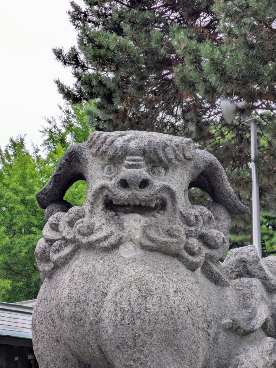 2tmM6XPR2YizI8W's tweet photo. ⁡札幌護國神社⁡
⁡北海道札幌市中央区南１５条
⁡昭和元年⁡
⁡阿吽に案件付き⁡
⁡阿吽両方に案件付きだが⁡
⁡護国型とは思えない独特なデザイン⁡
⁡耳が長く、先が鬣に付いてる⁡
⁡パッと見た時、ピエロかと思った🤡w⁡
⁡鬣、尻尾のくるくるの巻き毛が⁡
⁡豪華で美しい⁡⁡ https://t.co/ZS8NFaeBwX
