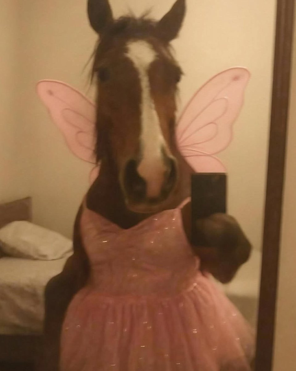 cowincrisis's tweet photo. leaked horse photo https://t.co/aRNFYVgVSS