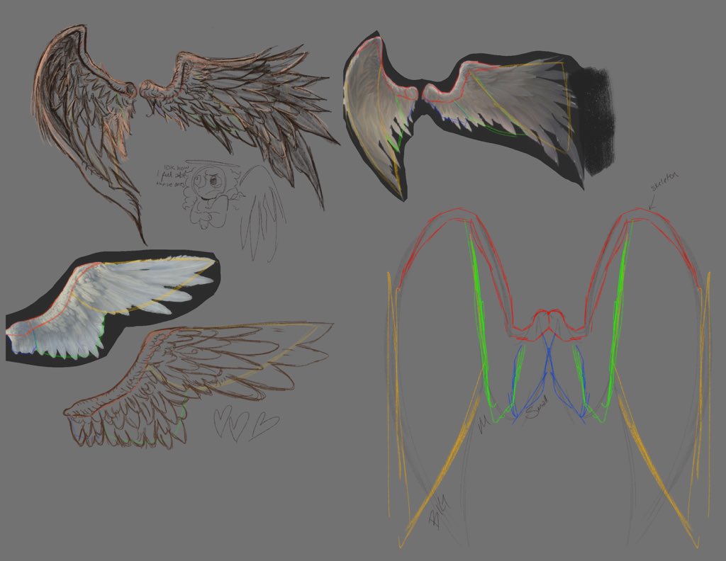 screamziiez's tweet photo. #wingstudy ?? https://t.co/1ChHbRMQr3