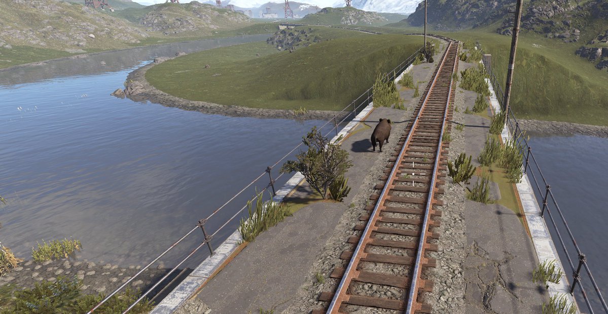 RustSpain_com's tweet photo. Este jabalí el primero en probar los puentes para las vías de tren. https://t.co/OrzRrCAMeT