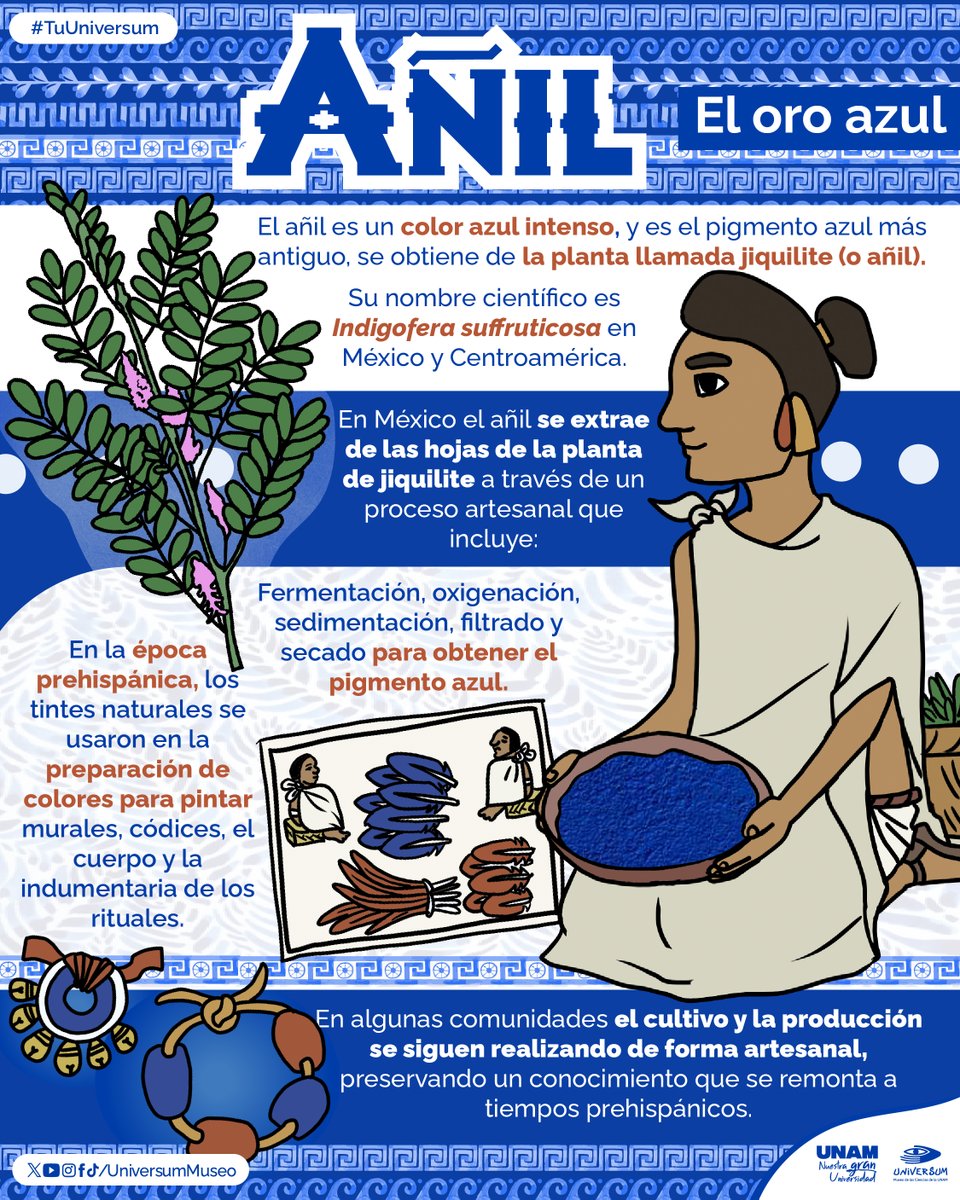 UniversumMuseo's tweet photo. 🔵 El color que viajó por el mundo 🤩.

#TuUniversum https://t.co/tVVb9fqDwj