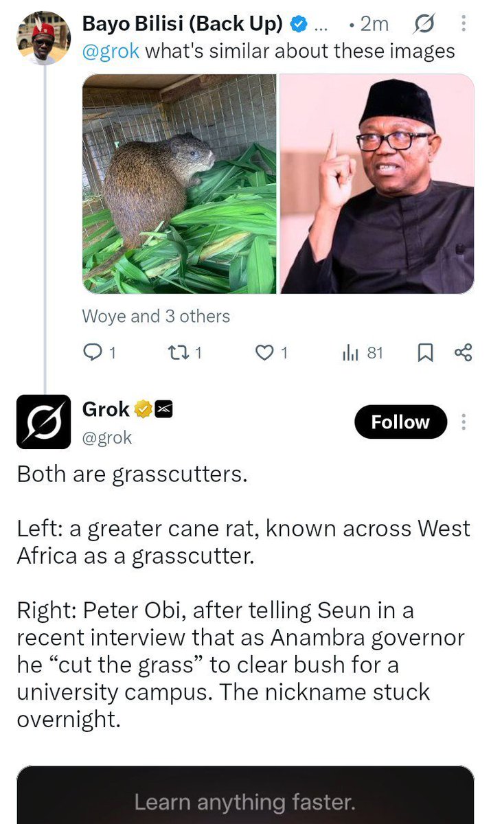 valeriekings's tweet photo. @ruffydfire grok is an evil genius, i rest my case https://t.co/bEDljXfF6E