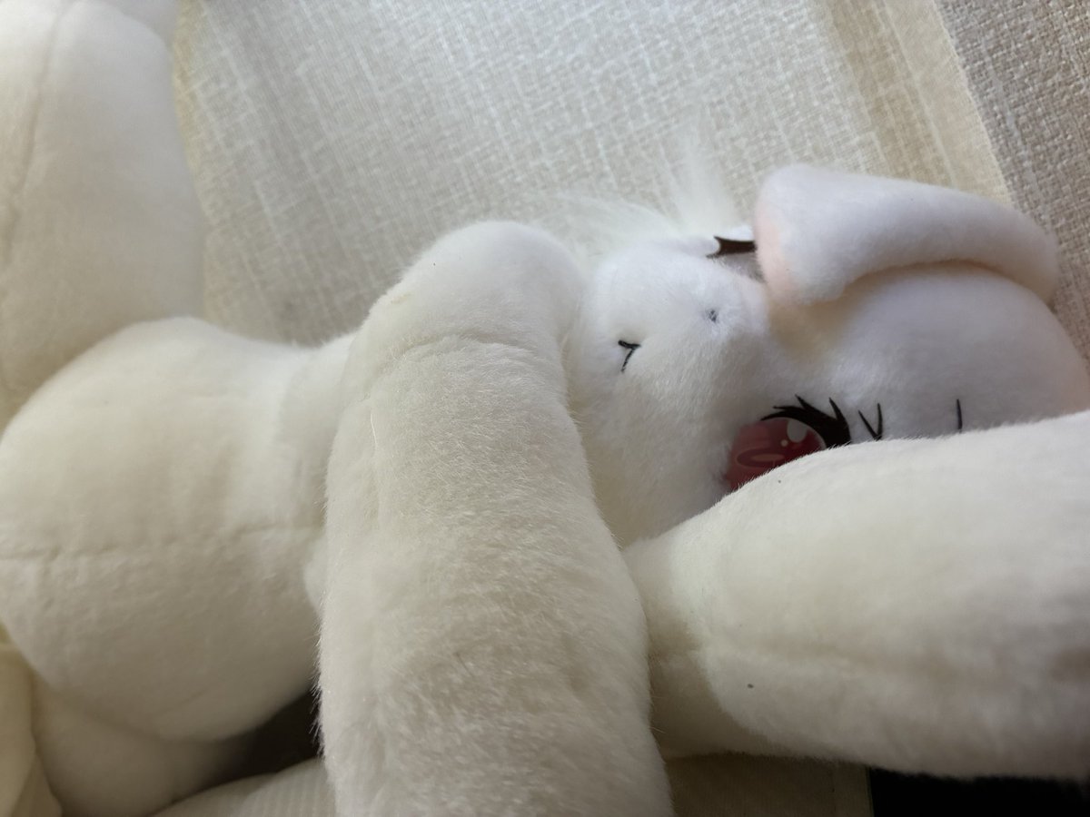 mao20240096's tweet photo. たまたまこうなってた🐰
セクシー過ぎて滅‼️ https://t.co/iQHMd4kXnA