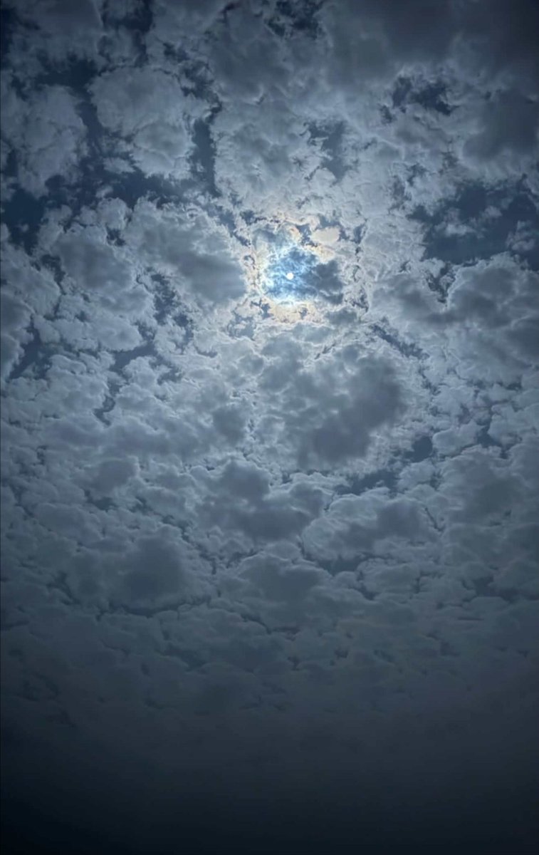 sparse_9 tweet picture