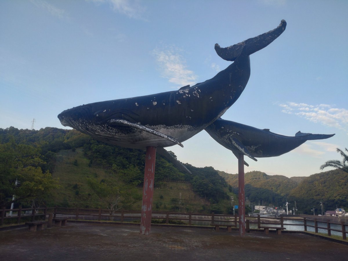 和歌山 太地町 奥が急に深くなっていてクジラが生息し、近くに入り江の