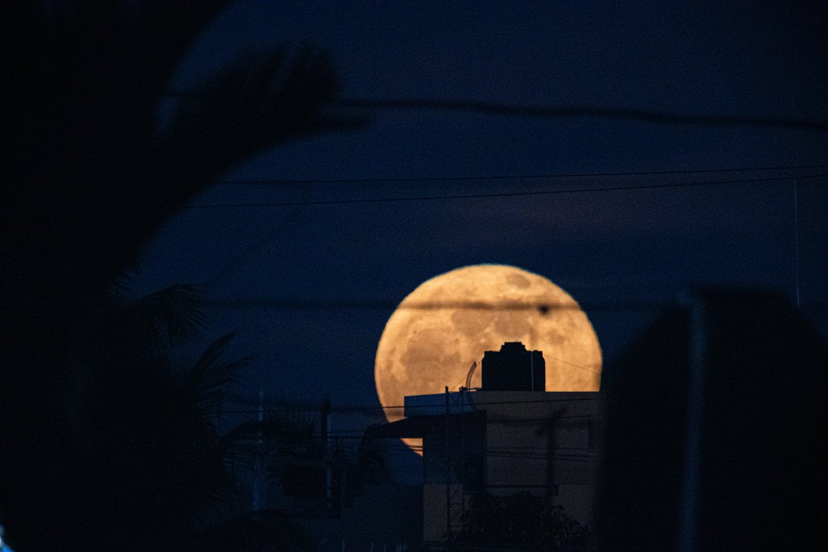 GenrisGarcia's tweet photo. Esta noche de #LunaLlena o #LunaDelCiervo me confieso tú #siervo, y prometo que no voy a buscar mi #libertad. https://t.co/z4o0UMpx0u