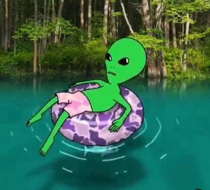 bOnGeY295's tweet photo. Zhilling out in da pool #alientwt https://t.co/NUeh4FqTP3