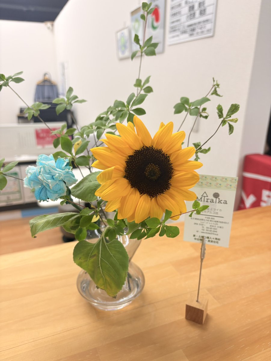 Miraika2018's tweet photo. おはようございます☺♪

天気が曇りで微妙ですが、
ミライカは元気に営業中です❣

本日もよろしくお願いします🏠！！
＃不動産
＃ミライカ
＃岩手
＃矢巾
＃紫波
＃盛岡 https://t.co/5386YRGKF4