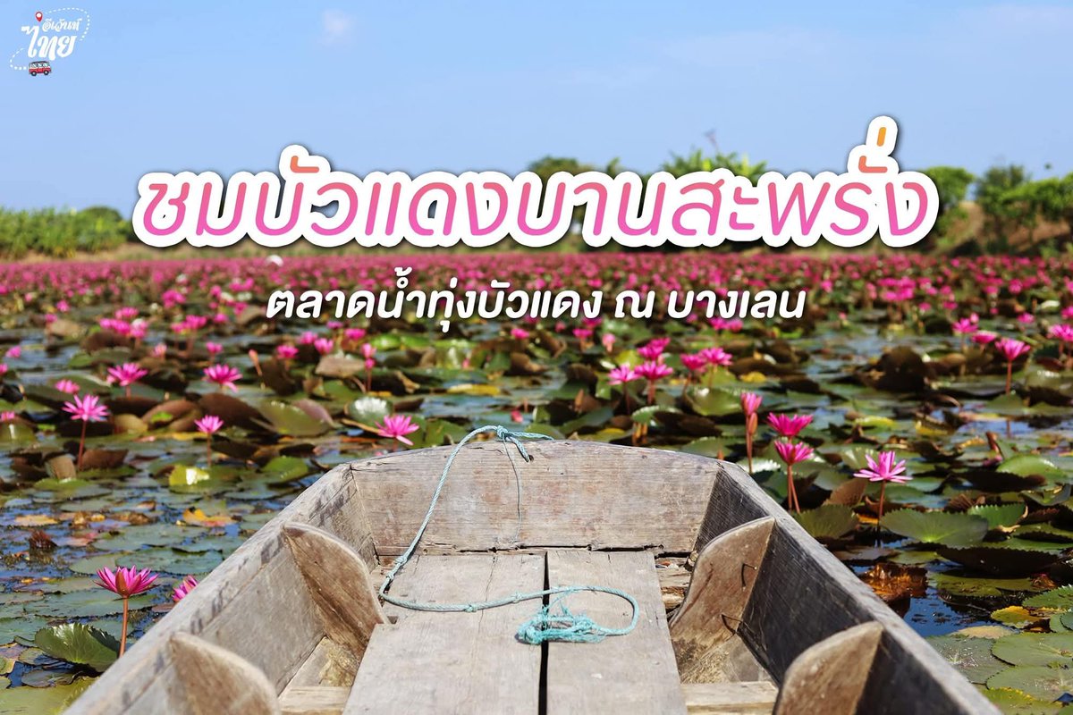 VJKAE⟭⟬⟬⟭ 🪭ʕ•ᴥ•ʔ☀🍊🌻 tweet media