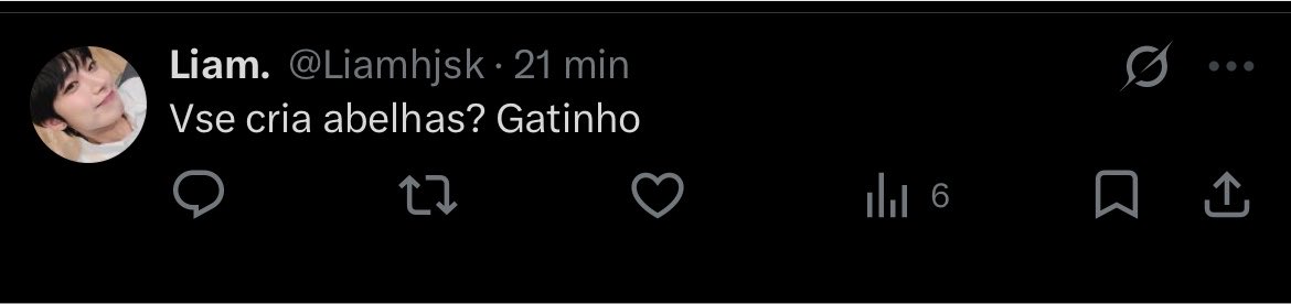 Samucão tweet media
