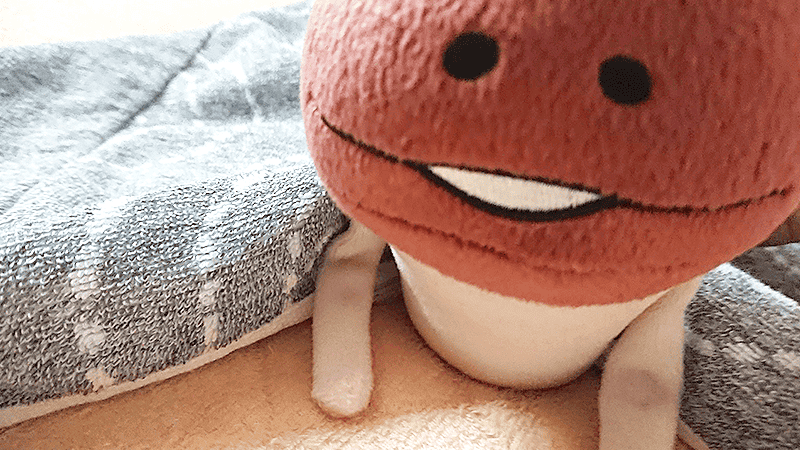 nameko_nnf's tweet photo. んふっ（ムクッ）
んふんふ〜（今日も1日よろしくね〜） https://t.co/jGuwKFPqqt