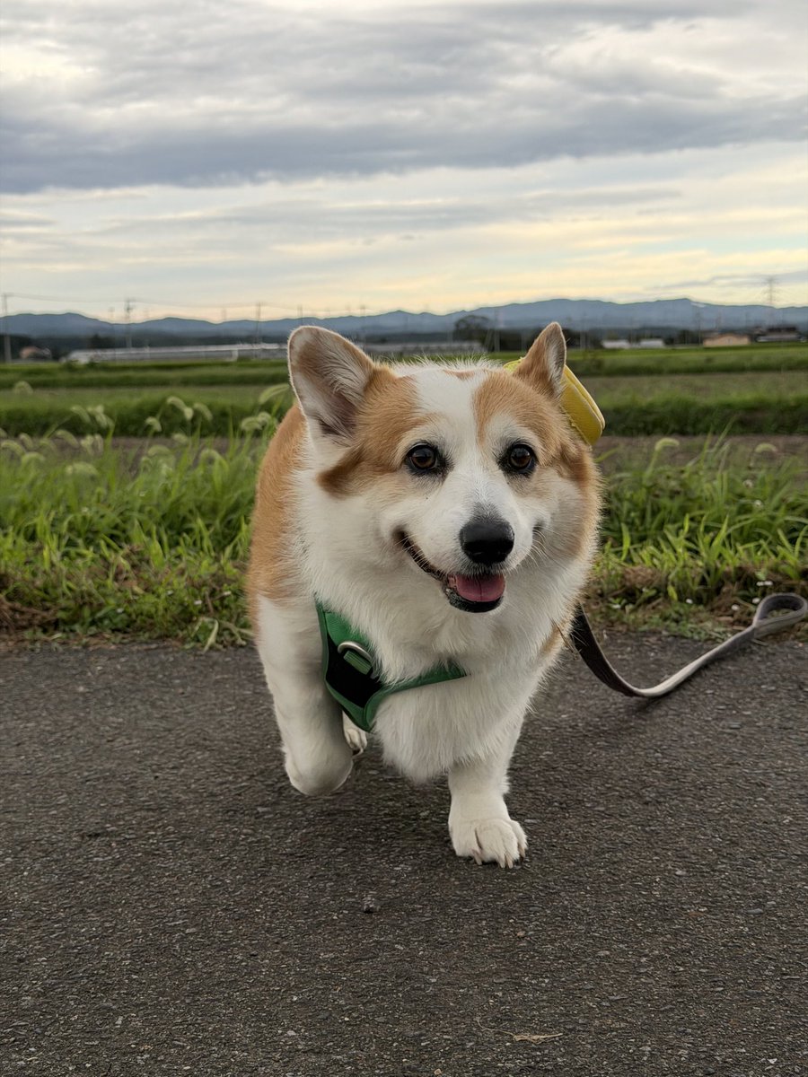 lylasan1202's tweet photo. おはようございます今日も一日暑くなりますねー https://t.co/howwboEycY