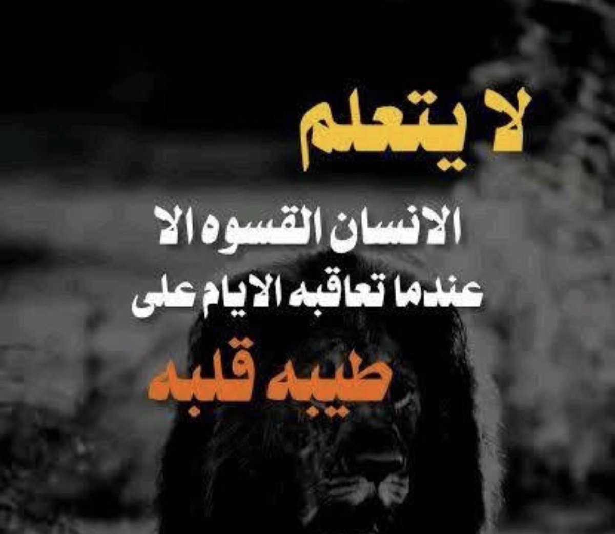 alyyaa3's tweet photo. https://t.co/6SXkALma1J