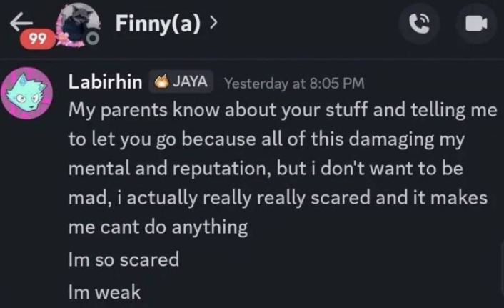 WestphalianGov's tweet photo. #maumakanapa #labirhin Labirhin's own screenshot from a conversation they were having with a private user. Finnya keeps repeatedly trying to tell Labi that it's not his concern, this is a lie Child Safety is at risk and nothing will happen to Finnya unless Labi speaks out. https://t.co/puxdDZo1Xu