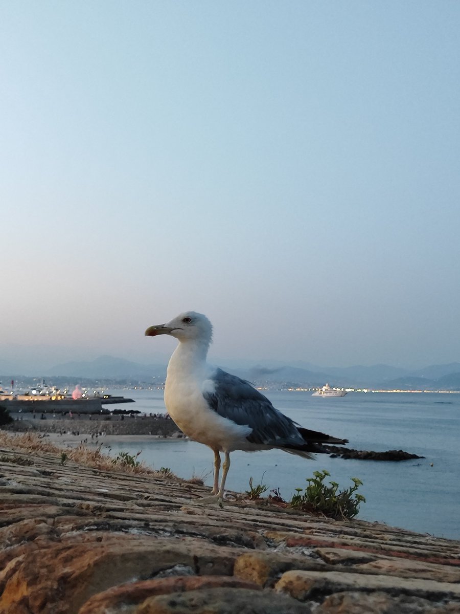 lumongie's tweet photo. #LUCAS https://t.co/9f1AhFFVXO