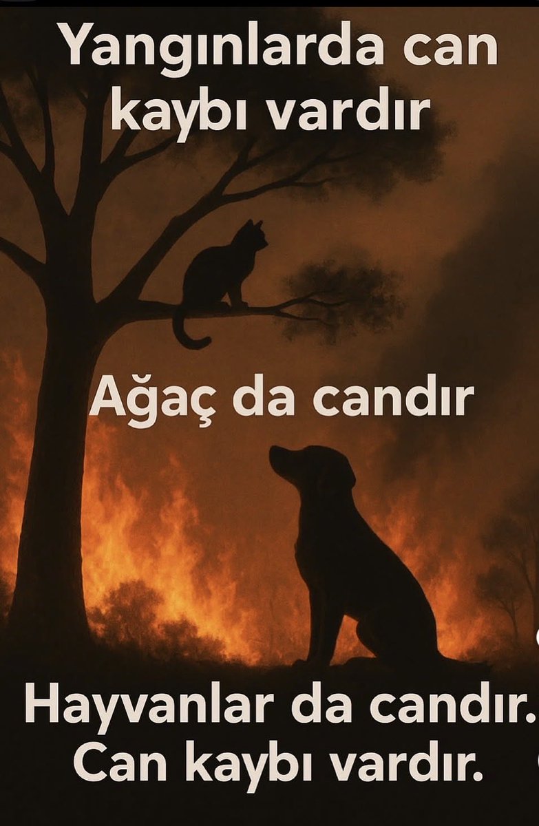 BuketUzuner's tweet photo. #ağaç da candır, #hayvan da candır.
#yangın larda #can kaybı vardır!
Yangınları söndürmek için devletin hazırlıklı ve donanımlı olmasını istiyor ve bekliyoruz! https://t.co/SWvdIXp2Qz