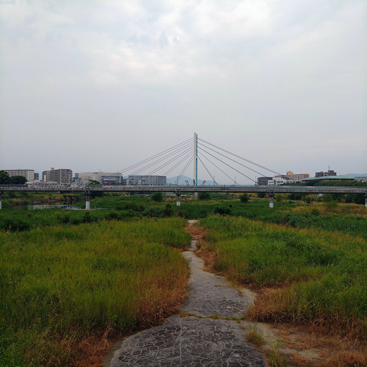 Tokucyan2's tweet photo. どんより☁でも蒸し暑
#猪名川 #藻川 #walking #cycling #河川敷 #水道橋 #ラジオ体操 #六甲山 #箕面山麓 #五月山 #伊丹 #園田 #阪急園田駅 #農業公園 #神津大橋 #生駒山麓 #園田競馬場 #甲山 https://t.co/GTsKgwpDjl