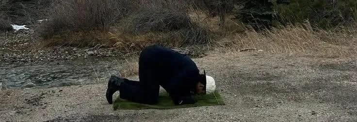 Allah Islam Quran tweet media