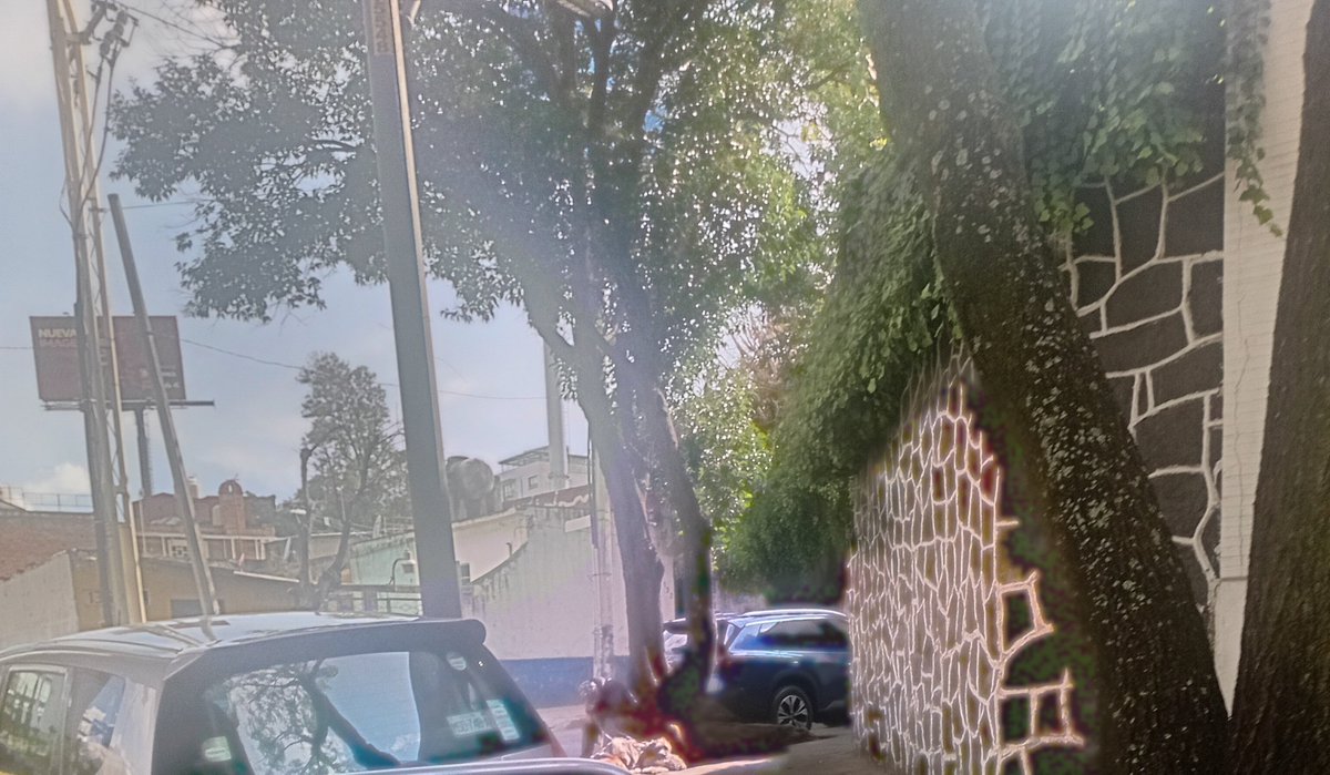 ludecarto's tweet photo. @UCS_GCDMX hola podrían mandar una patrulla o no se quien le corresponda,diario viene este paseadores con estos perritos,esta ahi más de una hora y los tiene en el rayo del sol,esto no se vale esta sentado en calle 21 esq. Rio becerra san pedro d los pinos,esto es maltrato https://t.co/HlQunKCZml