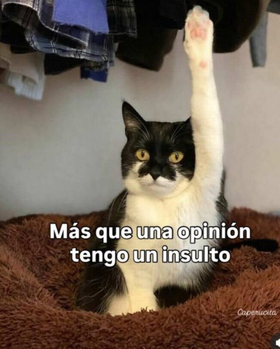 Prófugos del Ácido Fólico tweet media