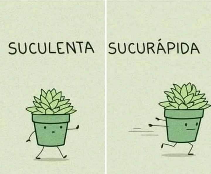 EuLubaDev's tweet photo. Amo sucurápida. https://t.co/tmdqxOZ03g