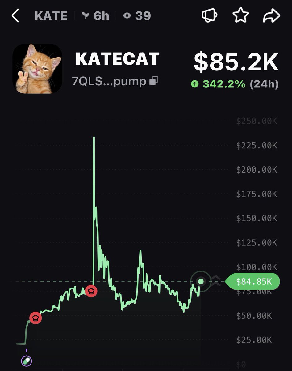 hailey_cryptoo tweet picture
