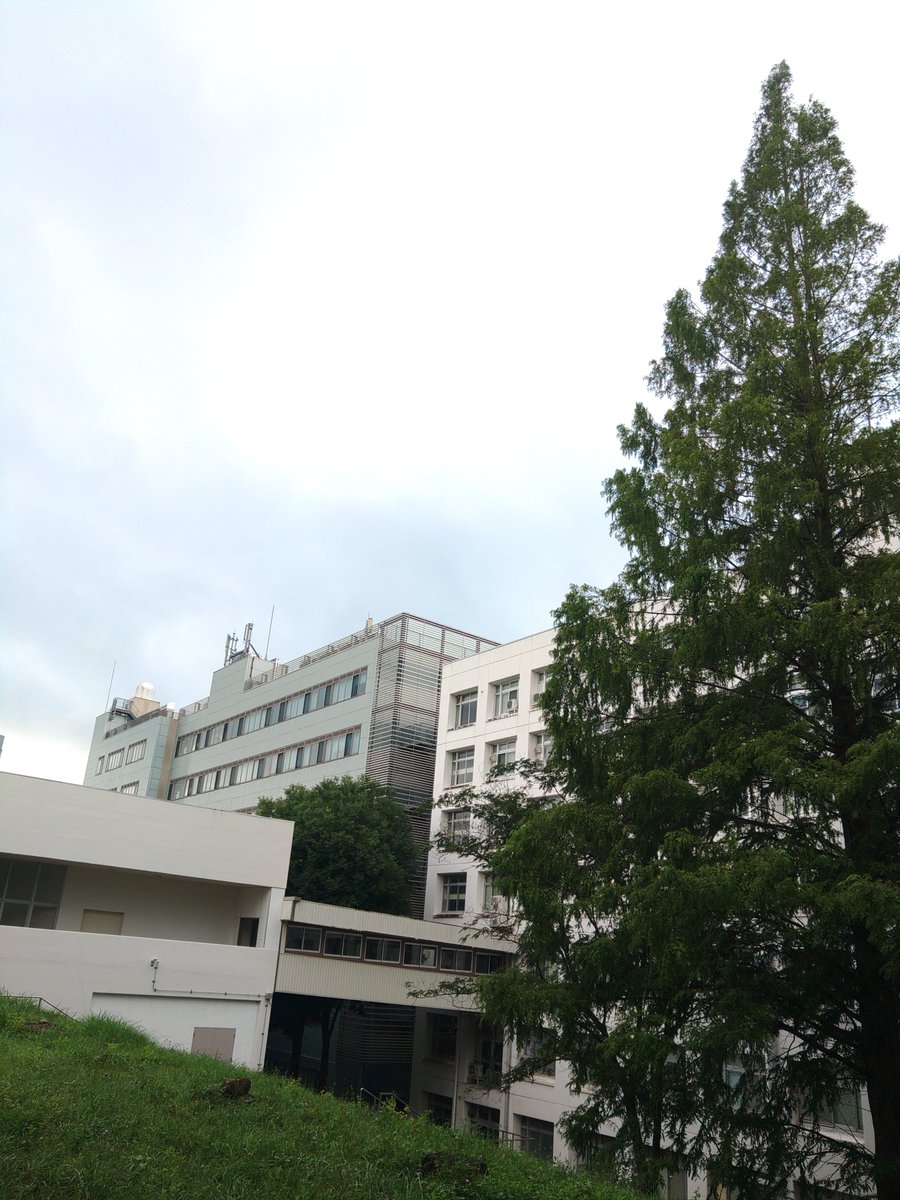 SSS_Fukushima's tweet photo. #福島大の空模様
おはようございます。局地的に激しい雨が降っているところがあるようです。ご注意ください。 https://t.co/z0qG7HE8jl