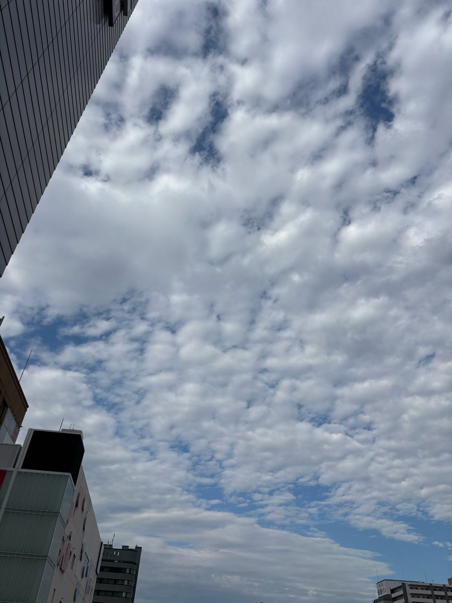 hr2rs's tweet photo. まだまだ木曜日 https://t.co/QzO8DhHY8N