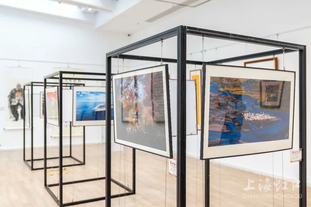 depdep2654's tweet photo. 周末去看了巷尾的光影装置展，手指触碰的瞬间，花火在掌心炸开，原来艺术不只有仰望，还能握在手心， https://t.co/AyToxh5YID