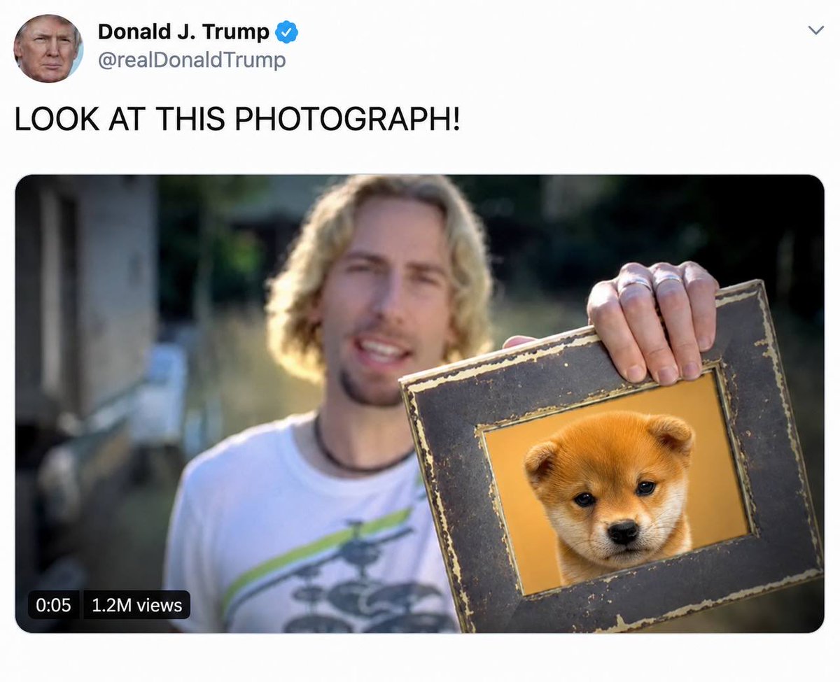 justadogmeme_'s tweet photo. LOOK https://t.co/CG4QdEcFIT