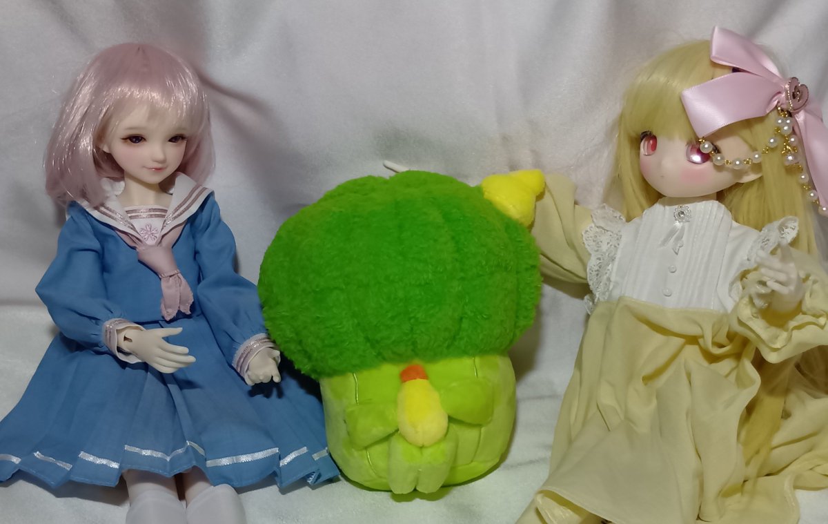 ururun_motch's tweet photo. このたび、うちの新メンバーとなりました、
きゃべちゃんです
「ふぉおおおおおおお」
「きゃべつ? ぶろっこりーじゃ?」
……
ろっこりーちゃんです
「言い直した」
「こういうのを、てきとー、って言うのね」
スンマセン
たった今までキャベツだと思ってた
( ̄▽ ̄;
#dlldoll
#dingdang https://t.co/0cczrr6HAx