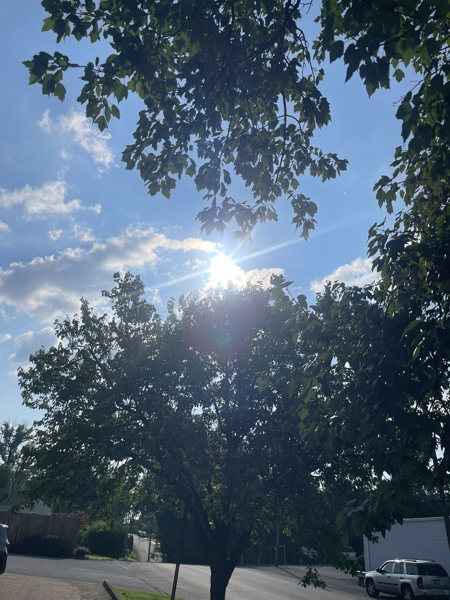 Debmitch63's tweet photo. Today’s sunshine https://t.co/pPSgoUjlrZ