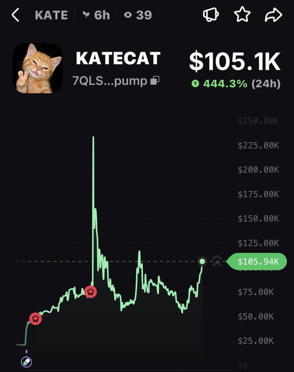 hailey_cryptoo tweet picture