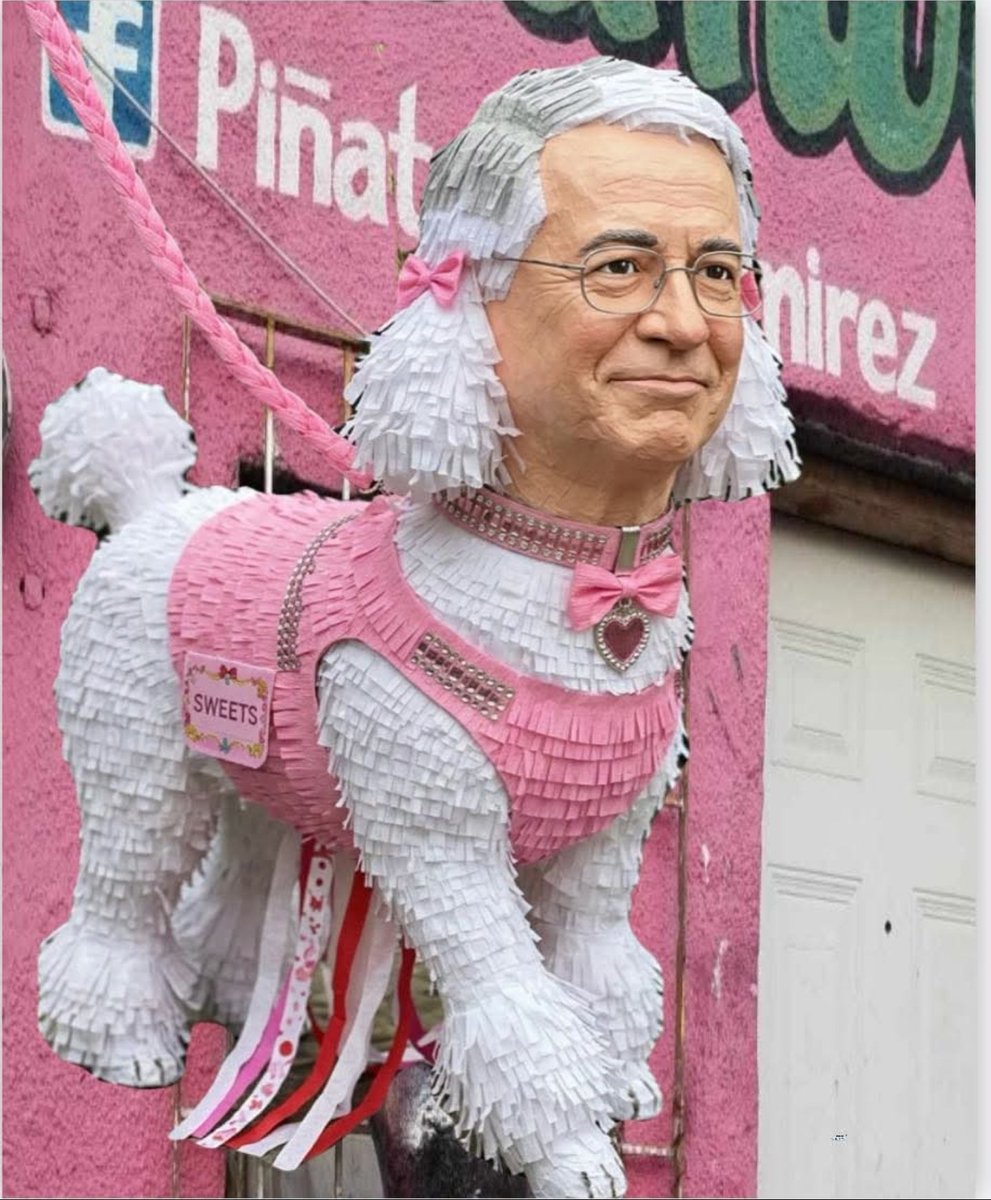 RomanoXIV's tweet photo. Ya la agarraron de piñata a #LaPerritaDeTrump
#LasPerrasDeTrump
#LasPerritasDeTrump
#LaPerraDeTrump
#LaPerritaDeTrumpForever https://t.co/GcSbEJnVJg