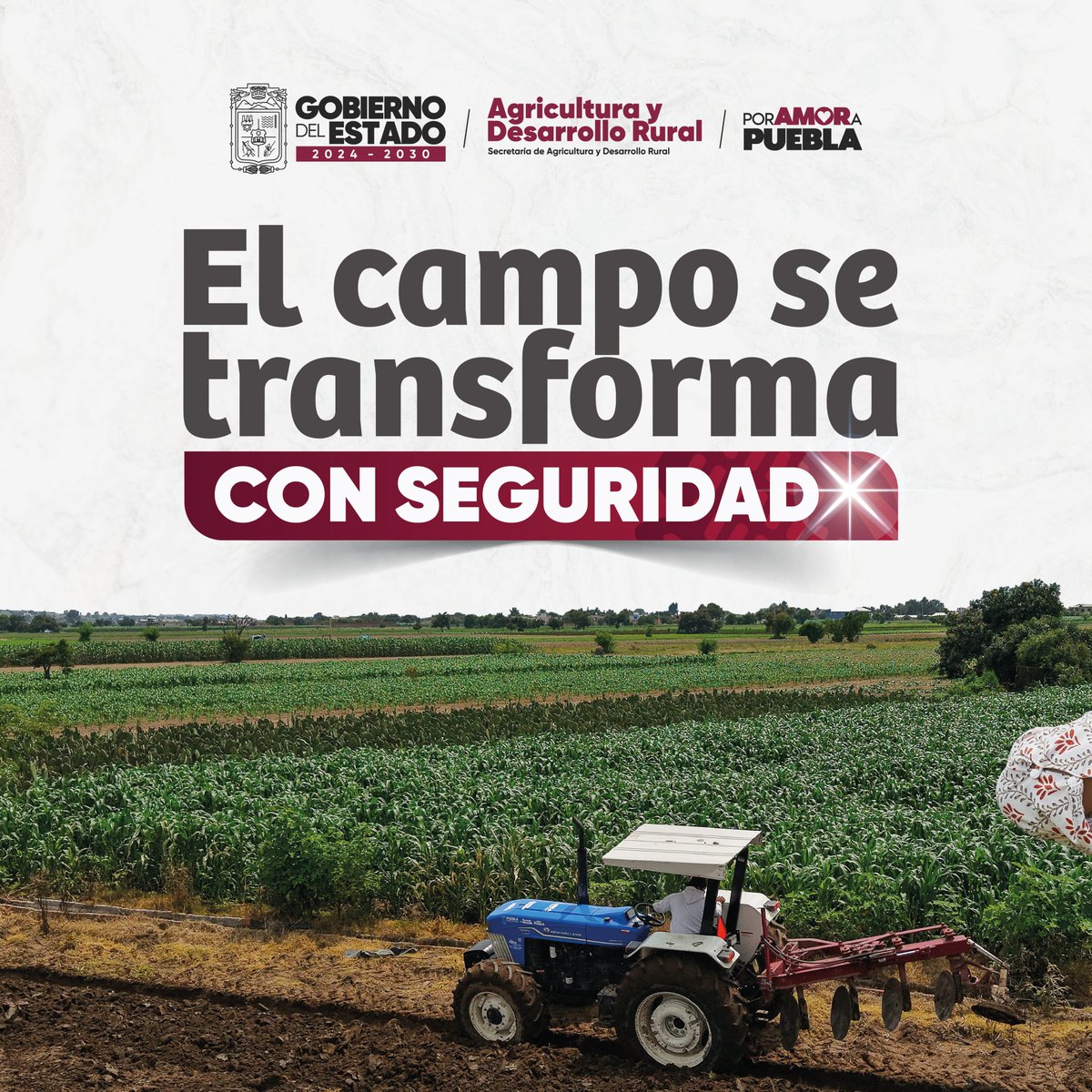SDRGobPue's tweet photo. 🚜🌱 El campo se transforma con seguridad. Las y los productores cuentan con 1,824 equipos para las 31 microrregiones.

Gracias a la visión del gobernador @armentapuebla_, la tecnología y la maquinaria llegan al campo para fortalecer la producción.

#PorAmorAPuebla https://t.co/IGLZtXZ1mv